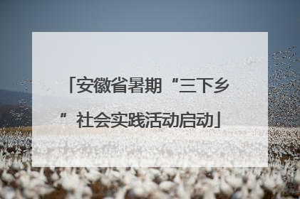 安徽省暑期“三下乡”社会实践活动启动
