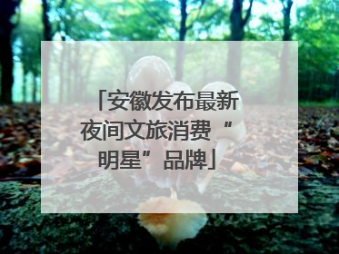 安徽发布最新夜间文旅消费“明星”品牌