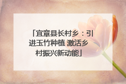 宜章县长村乡：引进玉竹种植 激活乡村振兴新动能