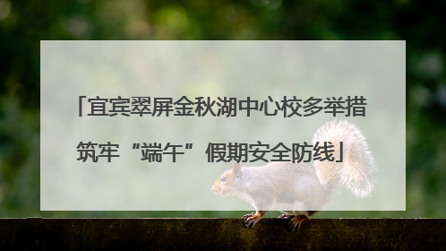 宜宾翠屏金秋湖中心校多举措筑牢“端午”假期安全防线