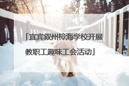 宜宾叙州樟海学校开展教职工趣味工会活动