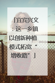 宜宾兴文：这一乡镇以创新种植模式拓宽“增收路”
