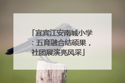 宜宾江安南城小学：五育融合结硕果，社团展演亮风采