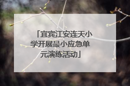 宜宾江安连天小学开展最小应急单元演练活动