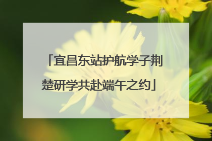 宜昌东站护航学子荆楚研学共赴端午之约