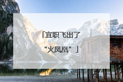 宜职飞出了“火凤凰”
