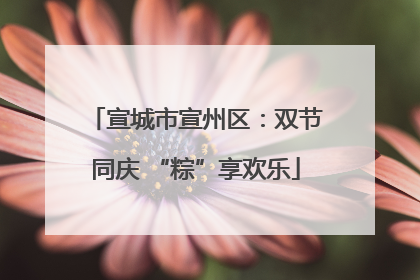 宣城市宣州区：双节同庆 “粽”享欢乐