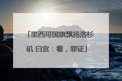 墨西哥国旗飘扬洛杉矶 白宫：看，罪证