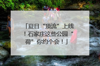 夏日“顶流”上线！石家庄这些公园“荷”你约个会！