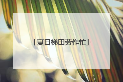夏日梯田劳作忙