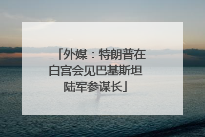 外媒：特朗普在白宫会见巴基斯坦陆军参谋长