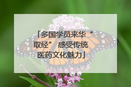 多国学员来华“取经” 感受传统医药文化魅力