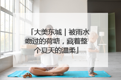 大美东城｜被雨水吻过的荷塘，藏着整个夏天的温柔