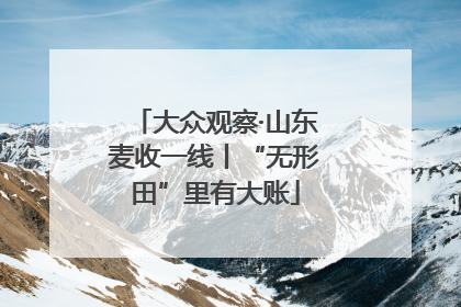 大众观察·山东麦收一线丨“无形田”里有大账