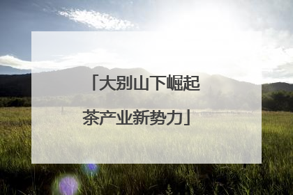 大别山下崛起茶产业新势力