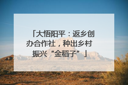 大悟阳平：返乡创办合作社，种出乡村振兴“金稻子”