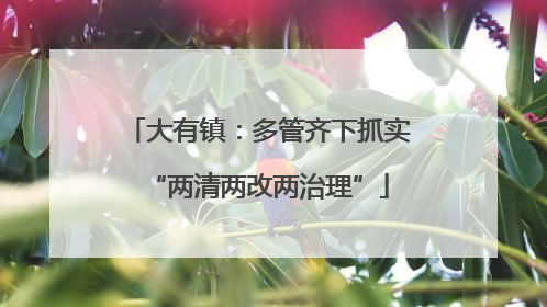 大有镇：多管齐下抓实“两清两改两治理”