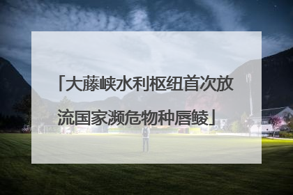 大藤峡水利枢纽首次放流国家濒危物种唇鲮