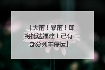 大雨！暴雨！即将抵达福建！已有部分列车停运