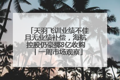 天羽飞训业绩不佳且无业绩补偿，海航控股仍豪掷8亿收购丨一周市场观察
