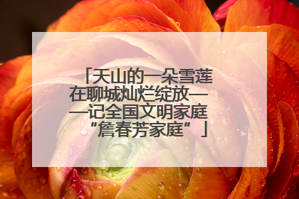 天山的一朵雪莲在聊城灿烂绽放——记全国文明家庭“詹春芳家庭”
