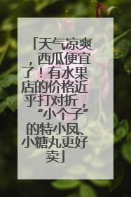 天气凉爽，西瓜便宜了！有水果店的价格近乎打对折，“小个子”的特小凤、小糖丸更好卖