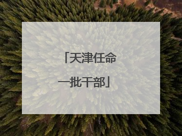 天津任命一批干部