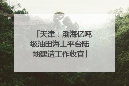 天津：渤海亿吨级油田海上平台陆地建造工作收官