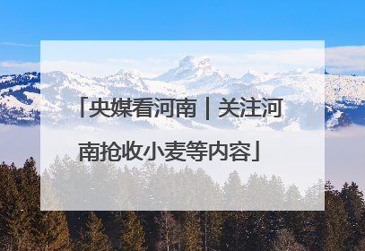 央媒看河南｜关注河南抢收小麦等内容