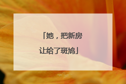 她，把新房让给了斑鸠