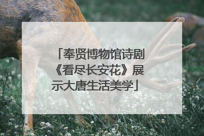 奉贤博物馆诗剧《看尽长安花》展示大唐生活美学