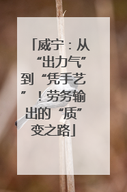 威宁：从“出力气”到“凭手艺”！劳务输出的“质”变之路