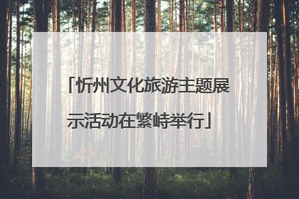 忻州文化旅游主题展示活动在繁峙举行