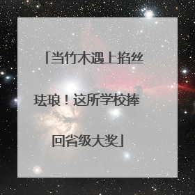 当竹木遇上掐丝珐琅！这所学校捧回省级大奖