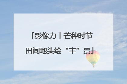 影像力丨芒种时节 田间地头绘“丰”景