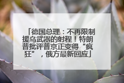 德国总理：不再限制援乌武器的射程！特朗普批评普京正变得“疯狂”，俄方最新回应
