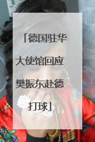 德国驻华大使馆回应樊振东赴德打球