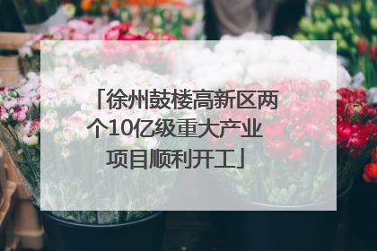 徐州鼓楼高新区两个10亿级重大产业项目顺利开工