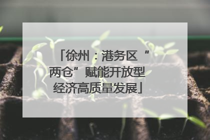 徐州：港务区“两仓”赋能开放型经济高质量发展