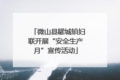 微山县驩城镇妇联开展“安全生产月”宣传活动