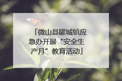 微山县驩城镇应急办开展“安全生产月”教育活动