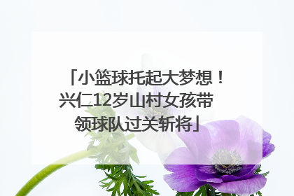 小篮球托起大梦想！兴仁12岁山村女孩带领球队过关斩将