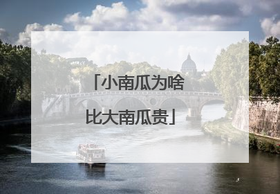 小南瓜为啥比大南瓜贵