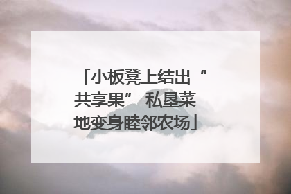 小板凳上结出“共享果” 私垦菜地变身睦邻农场