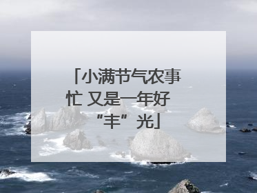 小满节气农事忙 又是一年好“丰”光
