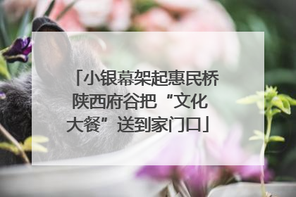 小银幕架起惠民桥 陕西府谷把“文化大餐”送到家门口