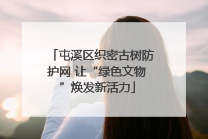 屯溪区织密古树防护网 让“绿色文物”焕发新活力