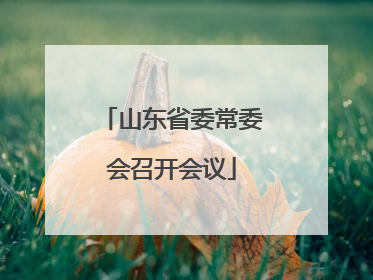 山东省委常委会召开会议