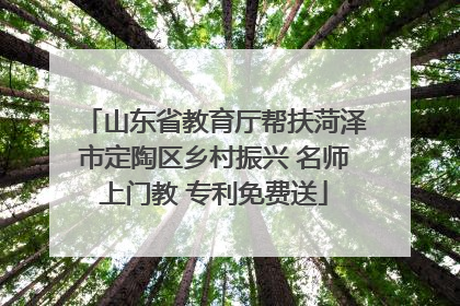 山东省教育厅帮扶菏泽市定陶区乡村振兴 名师上门教 专利免费送