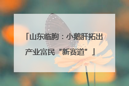 山东临朐：小鹅肝拓出产业富民“新赛道”
